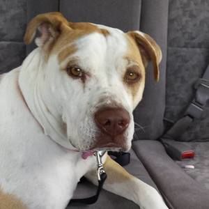 Meet your Posher, Lori